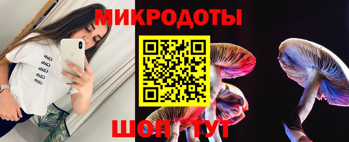Галлюциногенные грибы прущие грибы  Галлюциногенные грибы мицелий  Чебаркуль  Вход с VPN 