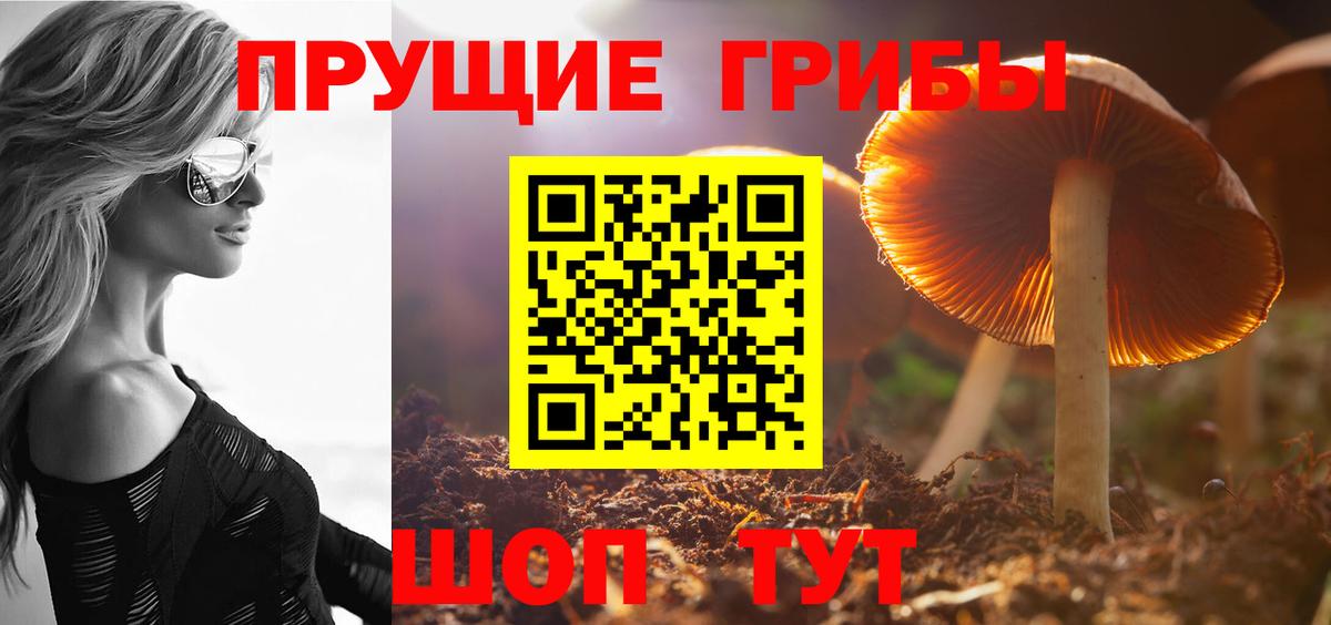 Галлюциногенные грибы мицелий Чебаркуль